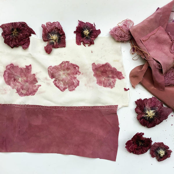 Natural dyes and Preservation Methods - brine and wine